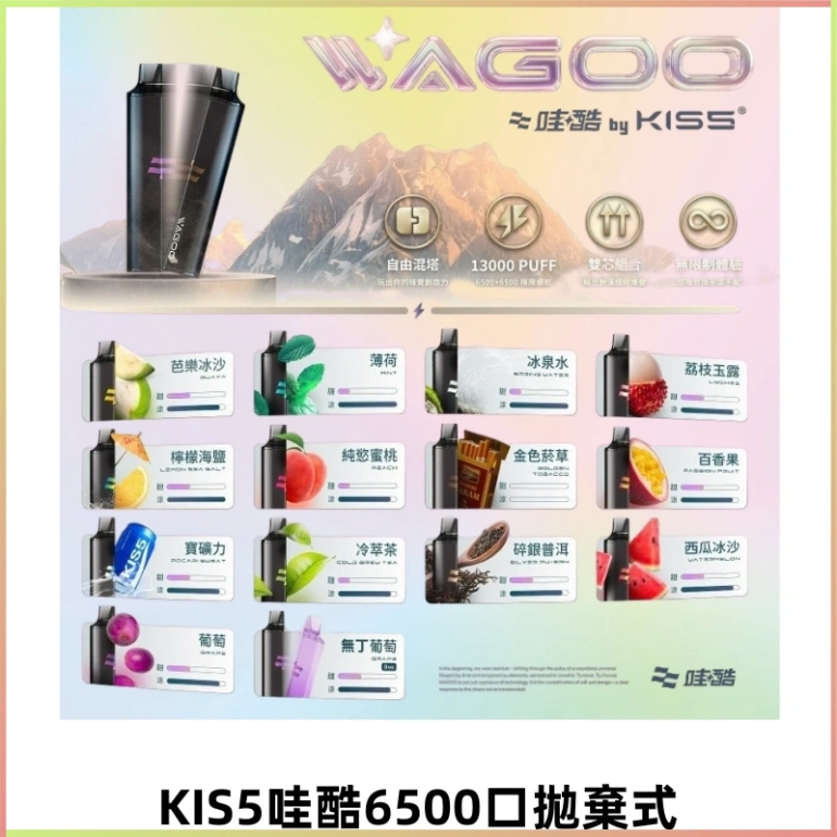 KIS5哇酷6500口拋棄式 | 自由混搭雙口味 | 雙芯組合